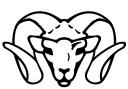 iapreps_logo_305.gif